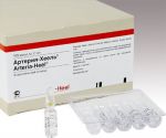 ХЕЕЛЬ Артерия-Хеель (энергетический эликсир), 100 ампул по 1,1 мл