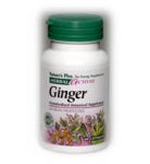 GINGER 250 mg/4% Volatile Oils 60 cap  - Имбирь (защита кишечника)