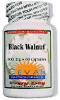 BLACK WALNUT