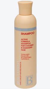Шампунь для нормальных волос с красным пальмовым маслом, провитамином B5 и экстрактом восточной ежевики  Прекрасно сбалансированный шампунь предназначен для бережного ежедневного ухода за волосами.