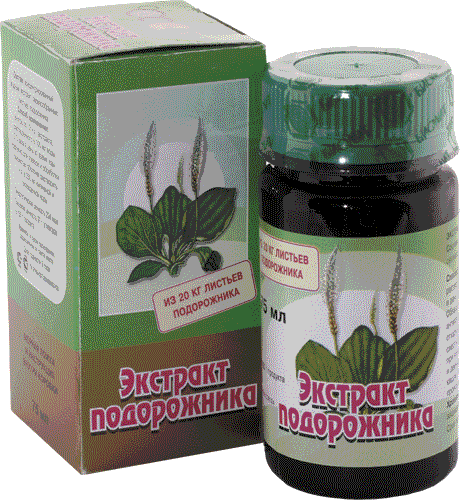 Как сделать экстракт подорожника