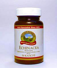 Эхинацея (Echinacea) 50 капс.  (продукция компании NSP (НСП)) Усиливает иммунную систему.
