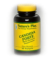Candida Forte 60 cap - Кандида Форте ( природный антибиотик) Кандида Форте - прекрасная поддержка естественной защитной системе организма, снижает риск возникновения рака толстого кишечника.