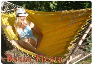 Гамак Besta Fiesta Tango (желтый) Яркий красивый гамак Besta Fiesta Tango сделан вручную (hand made) из высококачественного хлопка, мягкая фактура материала прекрасно адаптируется к форме вашего тела, полотно гамака украшено небольшой изящной бахромой натурального цвета.