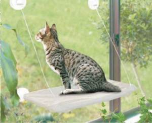 Лежанка подвесная для кошек «ТЕПЛОЕ МЕСТЕЧКО» Кошки – удивительные создания, которые приносят радость в наши дома.
Наверно больше всего на свете кошки любят греться на солнышке, лежа и жмурясь от удовольствия. Подарите Вашей кошке чудесное времяпрепровождение с помощью новейшего изобретения – компактной удобной лежанки «ТЕПЛОЕ МЕСТЕЧКО».
Данное приспособление устанавливается непосредственно на окно (или на любую гладкую и непористую поверхность) с помощью надёжной системы прочных липучек и тросов.  
Тканевое полотно этой лежанки является съемным и подходит для машинной стирки.
Благодаря надёжной конструкции лежанка может выдерживать даже вес самых крупных котов.
Подвесная лежанка для кошек «ТЕПЛОЕ МЕСТЕЧКО» - комфортное решение, как для питомцев, так и для их хозяев. Ведь она не занимает много места, и её легко транспортировать, отправляясь с любимцем в путешествие. 