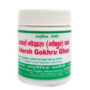 Adarsh Gokhru - Ghan 40 gr 

Adarsh Gokhru - Ghan 40 gr
