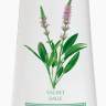 Гель Бодифреш / Body Fresh 60 мл (продукция компании Юст (Just)) - Гель Бодифреш / Body Fresh 60 мл (продукция компании Юст (Just))