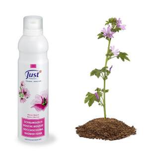 Пенка для душа с экстрактом Мальвы / Mallow Douche Foam (продукция компании Юст (Just)) Повышает уровень защитных сил и сопротивляемость организма инфекционным и вирусным заболеваниям. Ускоряет процесс выздоровления. Стимулирует регенерацию клеток и заживление ран. Повышает концентрацию внимания.   