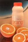Напиток Апельсин Белковая диета и программы снижения веса, Гиперпротеиновые продукты FitWell-Proteifine - Напиток Апельсин. 